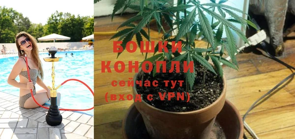 дмт Каменногорск