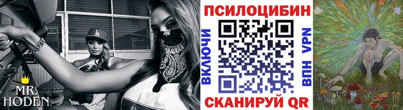 Псилоцибиновые грибы прущие грибы  купить наркотик  Пушкино 